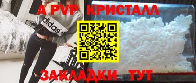 спиды Шахты