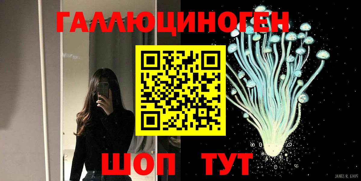 Псилоцибиновые грибы Psilocybe Норильск
