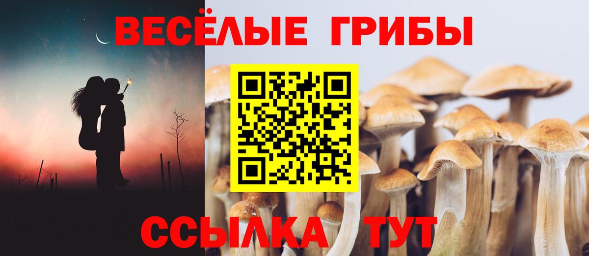 Галлюциногенные грибы Psilocybine cubensis  Вход с VPN  Норильск 
